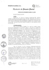 Vista preliminar de documento resolucion_gerencial-14-07-2021-1626301872