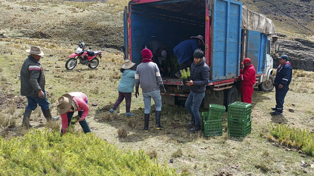 Foto de movilización de plantones.