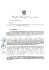 Vista preliminar de documento Resolución Directoral