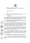 Vista preliminar de documento Resolución Directoral