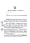 Vista preliminar de documento Resolución Directoral