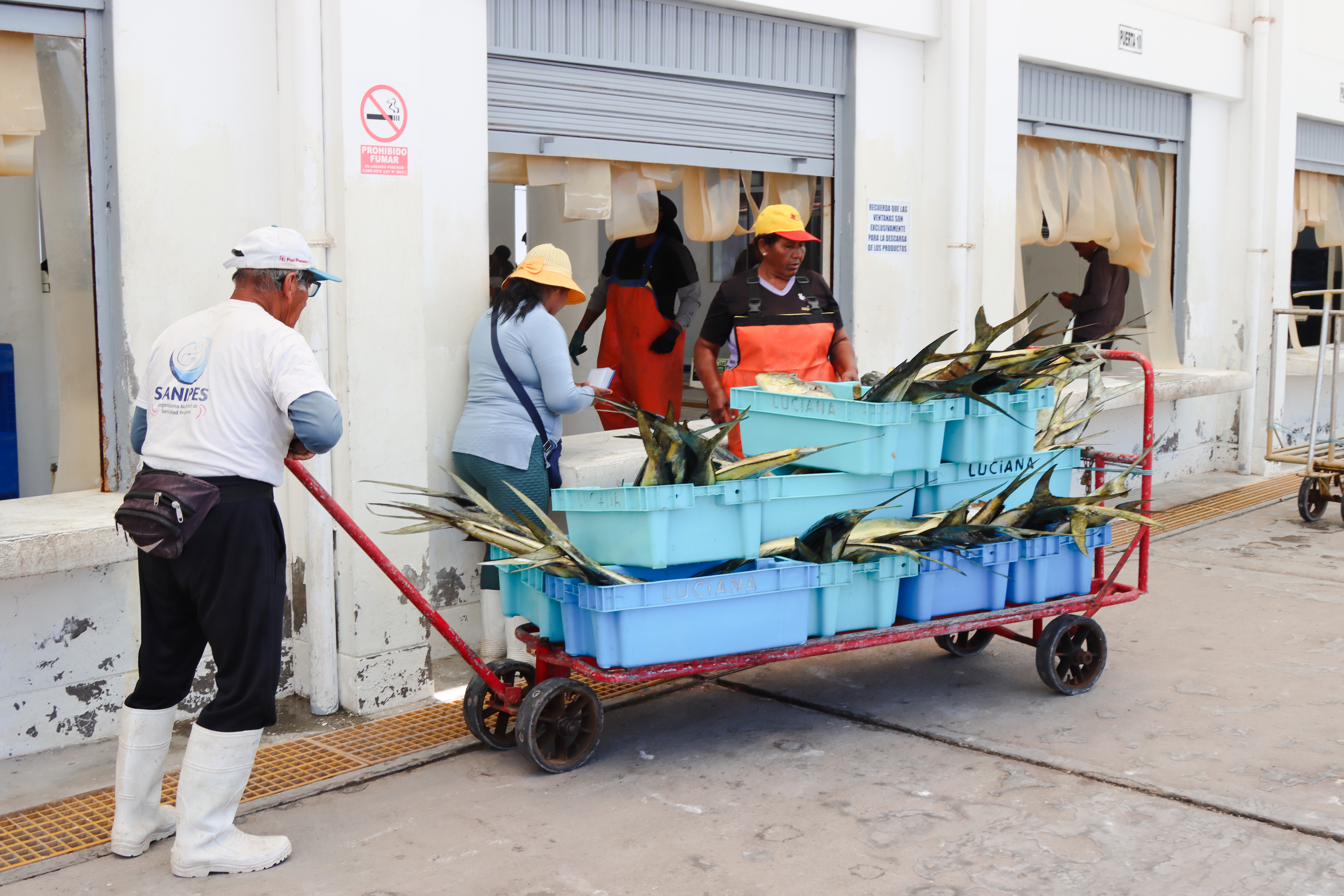 PRODUCE Tacna inspeccionó desembarcadero de Morro Sama