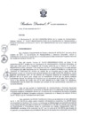 Vista preliminar de documento Resolución Directoral