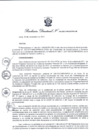 Vista preliminar de documento Resolución Directoral