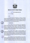 Vista preliminar de documento RD-185-2019