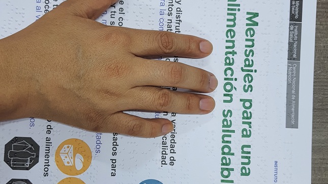 El INS pone a disposición