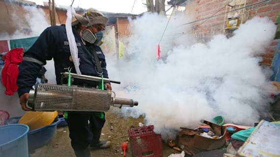 Diresa inicia intervención en Chulucanas y Bigote para evitar brote de dengue