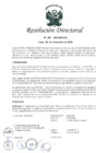 Vista preliminar de documento RD N° 907-2018-MTC/12
