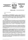 Vista preliminar de documento Resolución N° 0295-2022/SBN-DGPE-SDAPE