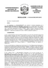 Vista preliminar de documento Resolución N° 0330-2022/SBN-DGPE-SDAPE