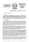 Vista preliminar de documento Resolución N° 0504-2022/SBN-DGPE-SDAPE