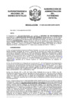 Vista preliminar de documento Resolución N° 0805-2022/SBN-DGPE-SDAPE