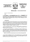 Vista preliminar de documento Resolución N° 0920-2022/SBN-DGPE-SDAPE
