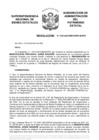 Vista preliminar de documento Resolución N° 1203-2022/SBN-DGPE-SDAPE