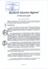 Vista preliminar de documento RER-003-2023.pdf