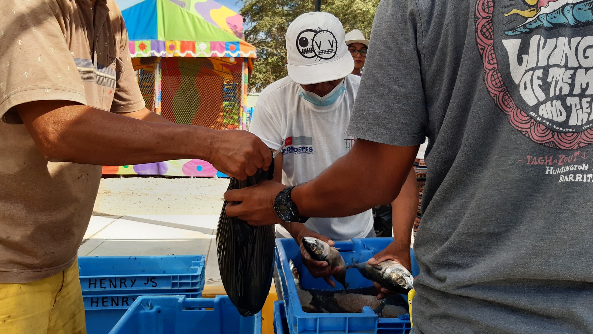 Nota Informativa del Programa A comer pescado