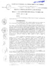 Vista preliminar de documento R.E.R. N474-2022GRT-GR_29Dic2022