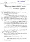 Vista preliminar de documento R.G.G.R. N006-2023GRT-GGR_17Ene2023