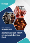 Vista preliminar de documento Perfil de Riesgo de Escherichia coli (O157) en carne de bovino, Perú