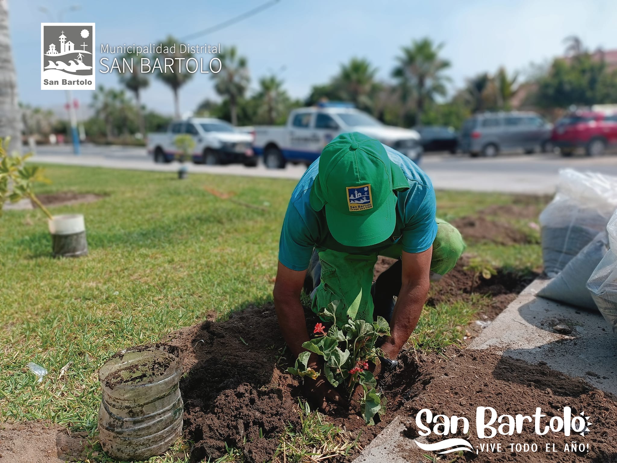 Portada plantas