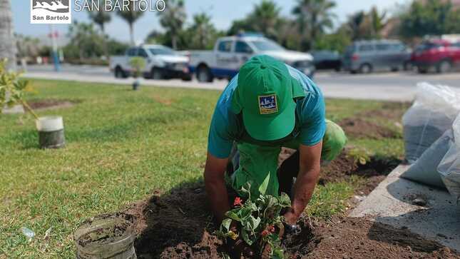 Portada plantas