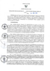 Vista preliminar de documento RER 161