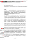 Vista preliminar de documento Resolución de Dirección Ejecutiva