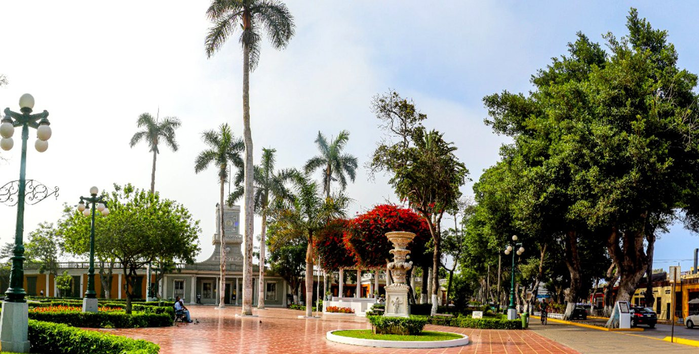 Cultura Verde en Barranco