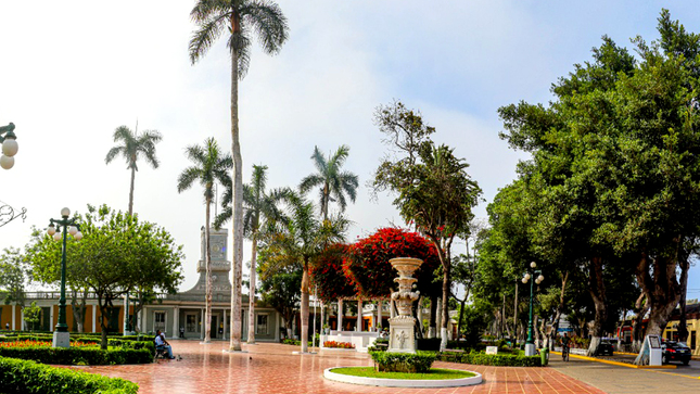 Cultura Verde en Barranco