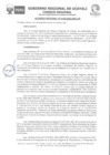 Vista preliminar de documento Acuerdo Regional Nº 155-2022
