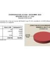 Vista preliminar de documento 2024 12 Estructura de Inversiones en Instrumentos Financieros - Diciembre