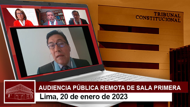 Audiencia pública remota de la Sala Primera