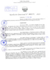 Vista preliminar de documento Resolución Directoral. Nº 0171 - 2023 