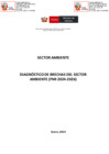 Vista preliminar de documento Diagnóstico de brechas (PMI 2024-2026).pdf