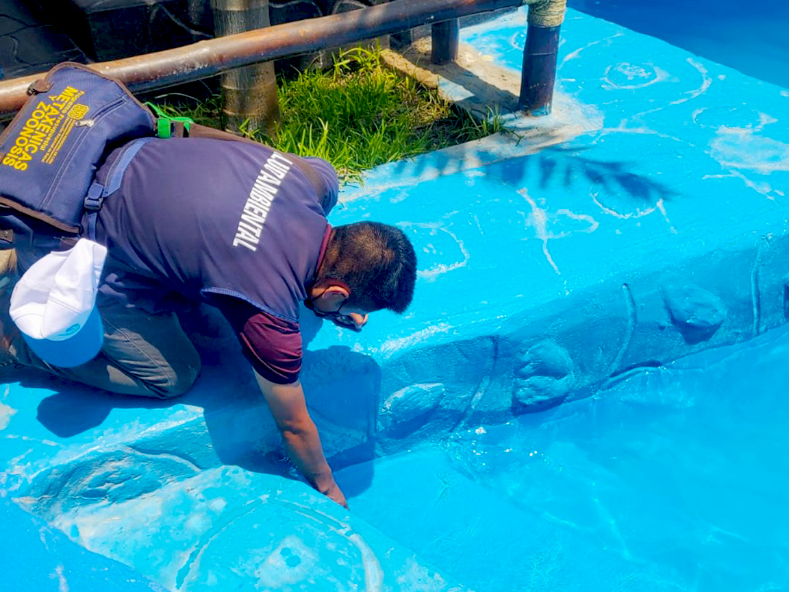 Municipalidad de Huaral inspeccionó piscinas ante el inicio del verano 2023