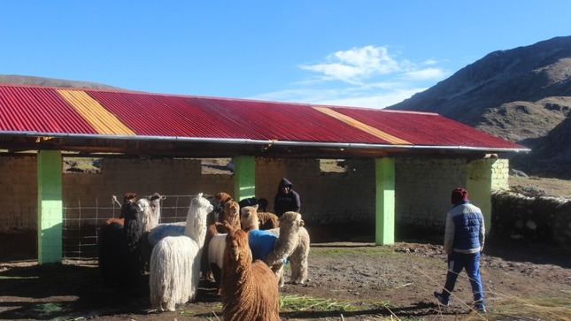Cobertizos, kits veterinarios y conservación de forrajes Arequipa