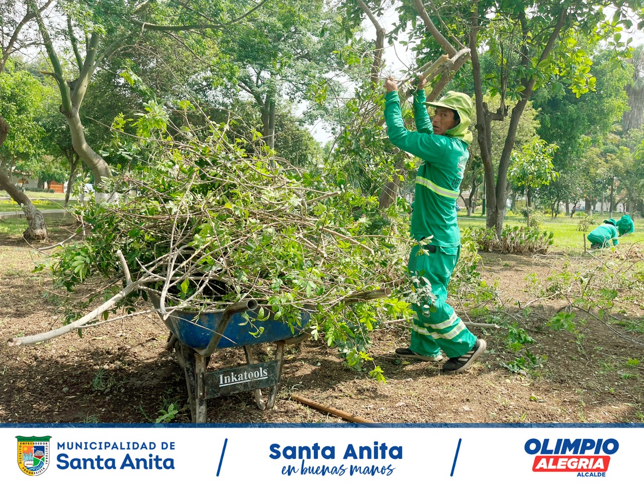 El equipo municipal de parques y jardines viene recuperando el parque Quiñónez, quien conforma uno de los 134 parques en nuestro distrito, los cuales venimos recuperando y brindado el sostenimiento desde el primer día de gestión.
#SantaAnitaenbuenasmanos
#OLIMPIOALEGRIA
#SantaAnita