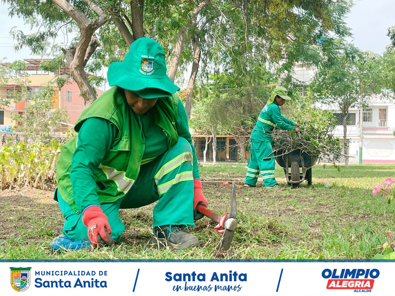El equipo municipal de parques y jardines viene recuperando el parque Quiñónez, quien conforma uno de los 134 parques en nuestro distrito, los cuales venimos recuperando y brindado el sostenimiento desde el primer día de gestión.
#SantaAnitaenbuenasmanos
#OLIMPIOALEGRIA
#SantaAnita