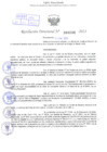 Vista preliminar de documento Resolución Directoral. Nº 0206 - 2023 