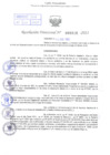 Vista preliminar de documento Resolución Directoral. Nº 0216 - 2023 