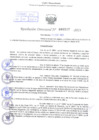 Vista preliminar de documento Resolución Directoral. Nº 0217 - 2023 