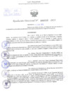 Vista preliminar de documento Resolución Directoral. Nº 0222 - 2023 