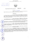 Vista preliminar de documento Resolución Directoral. Nº 0226 - 2023 