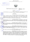 Vista preliminar de documento Resolución Directoral. Nº 0238 - 2023 
