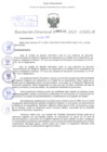 Vista preliminar de documento Resolución Directoral. Nº 0246 - 2023 