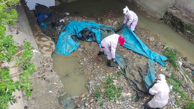 Gerencia de Desarrollo Ambiental Descolmata Rio San Lucas