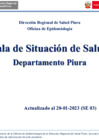 Vista preliminar de documento Sala situacional de Dengue SE 003-2023