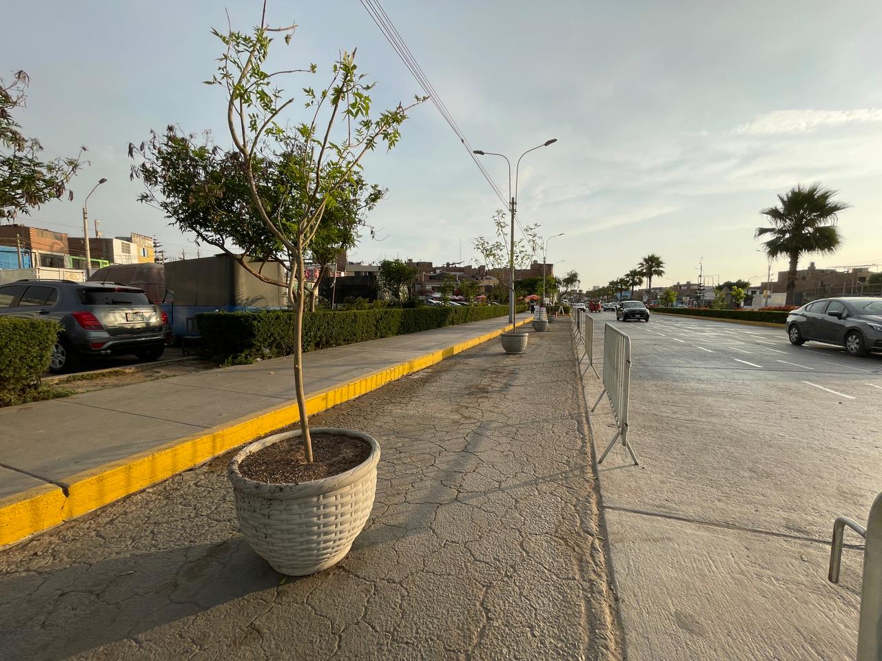 Av. Dos