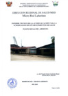 Vista preliminar de documento INFORME-TECNICO-DE-AUTOEVALUACION-DEL-PUESTO-DE-SALUD-LABERINTO-30-12-2022.pdf