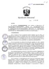 Vista preliminar de documento RD_1429_2022_CENARES.pdf